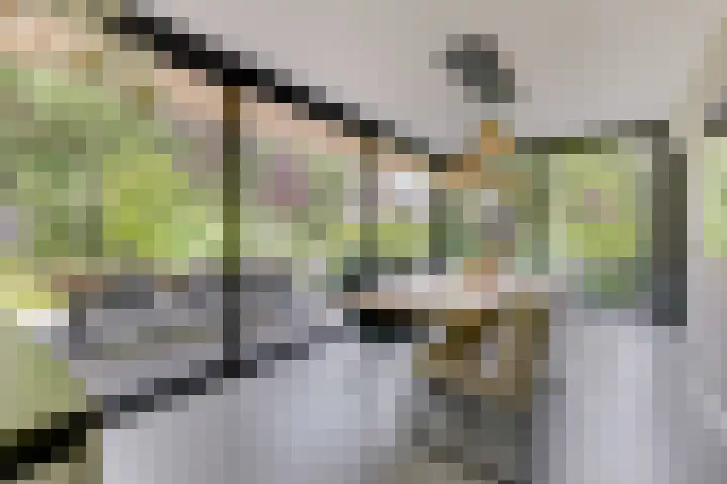 de Ruijterlaan 18 Velp thumbnail 20