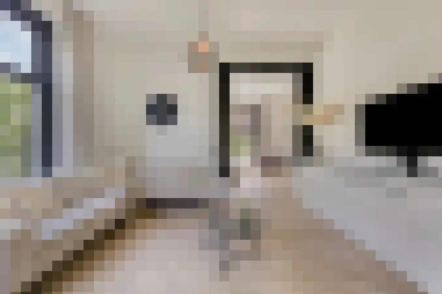 de Ruijterlaan 18 Velp thumbnail 20
