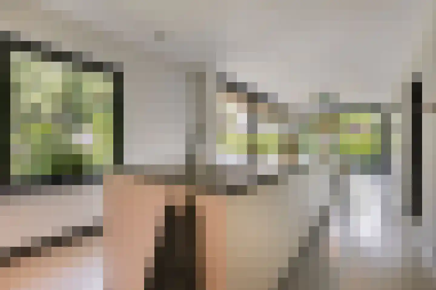 de Ruijterlaan 18 Velp thumbnail 21