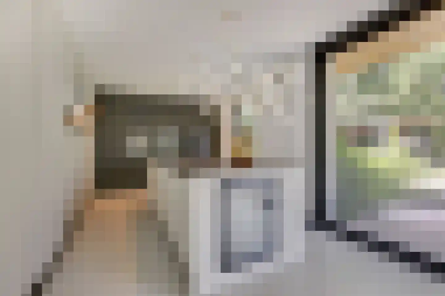 de Ruijterlaan 18 Velp thumbnail 22