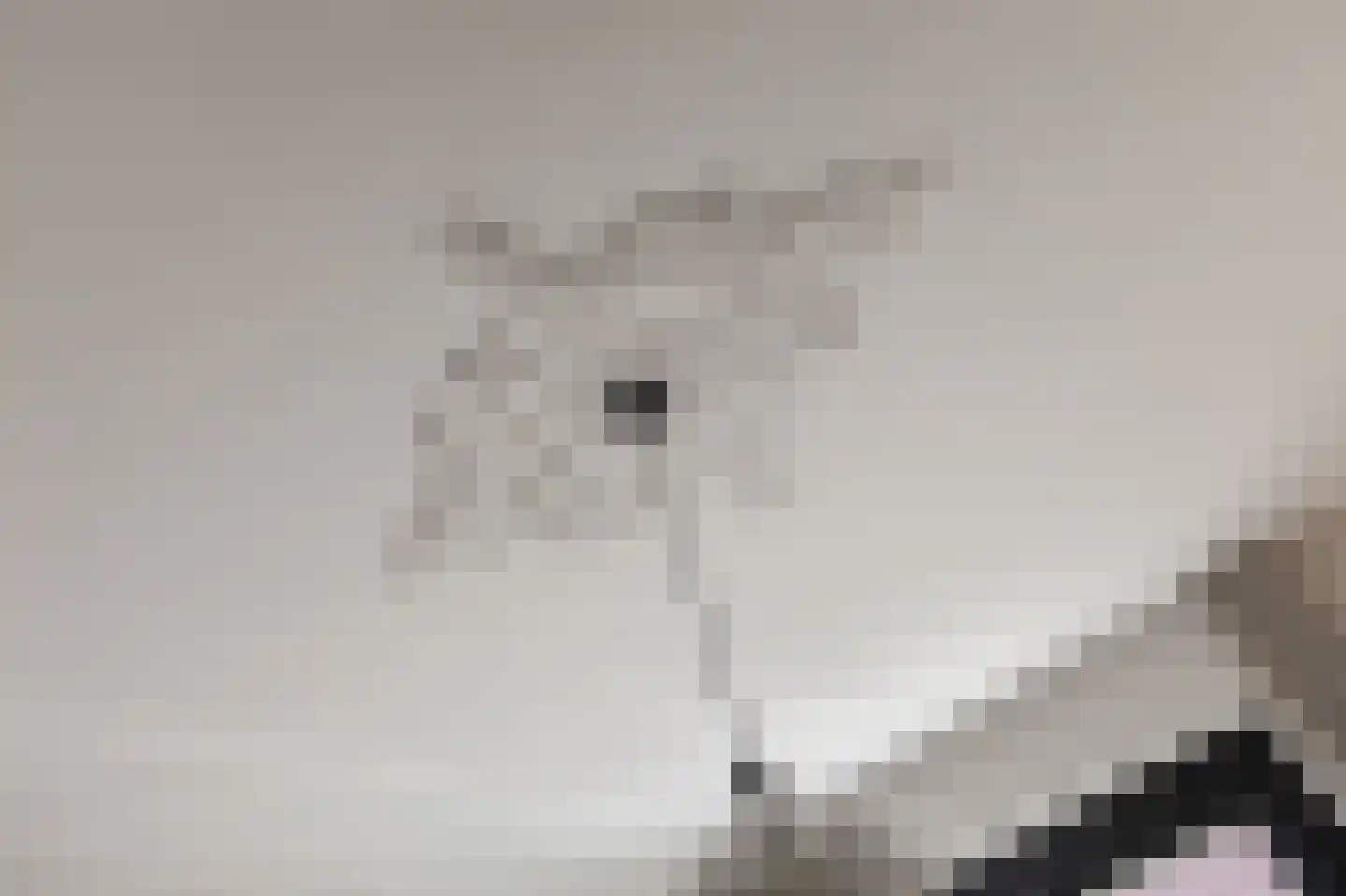 de Ruijterlaan 18 Velp thumbnail 27