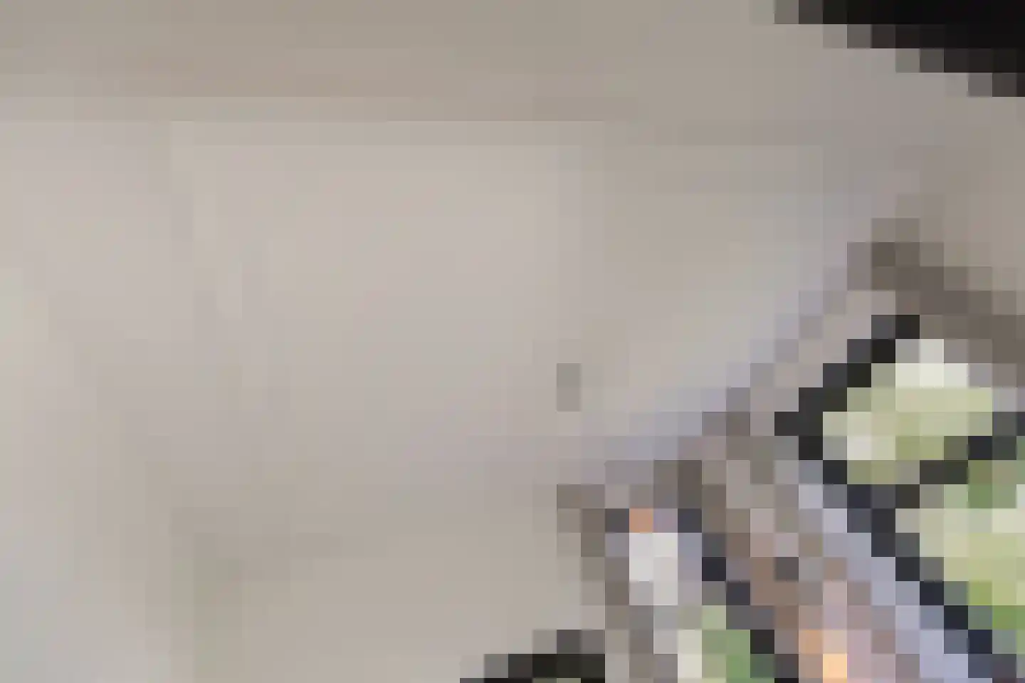 de Ruijterlaan 18 Velp thumbnail 28
