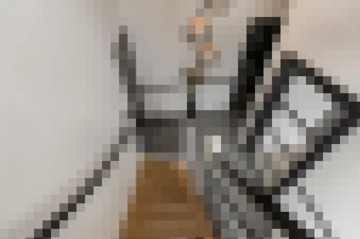 de Ruijterlaan 18 Velp thumbnail 46
