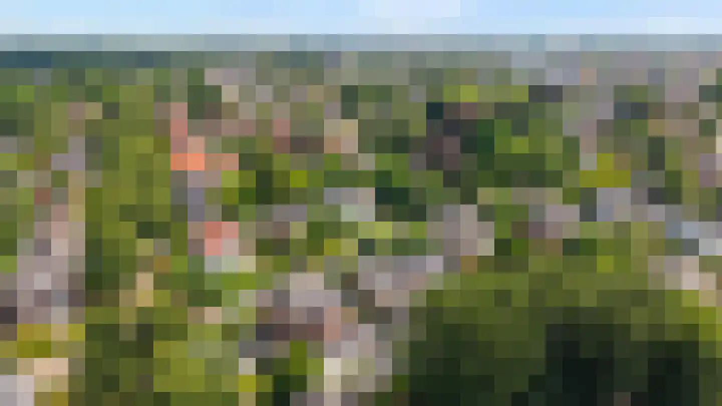 de Ruijterlaan 18 Velp thumbnail 5