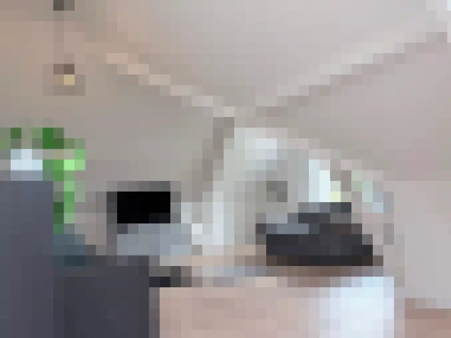 de Ruijterlaan 18 Velp thumbnail 55