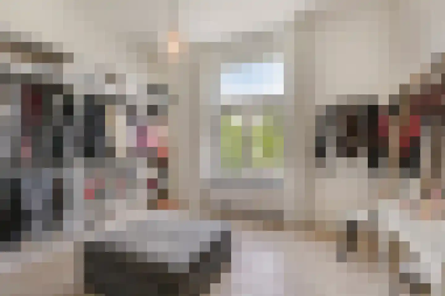 de Ruijterlaan 18 Velp thumbnail 55