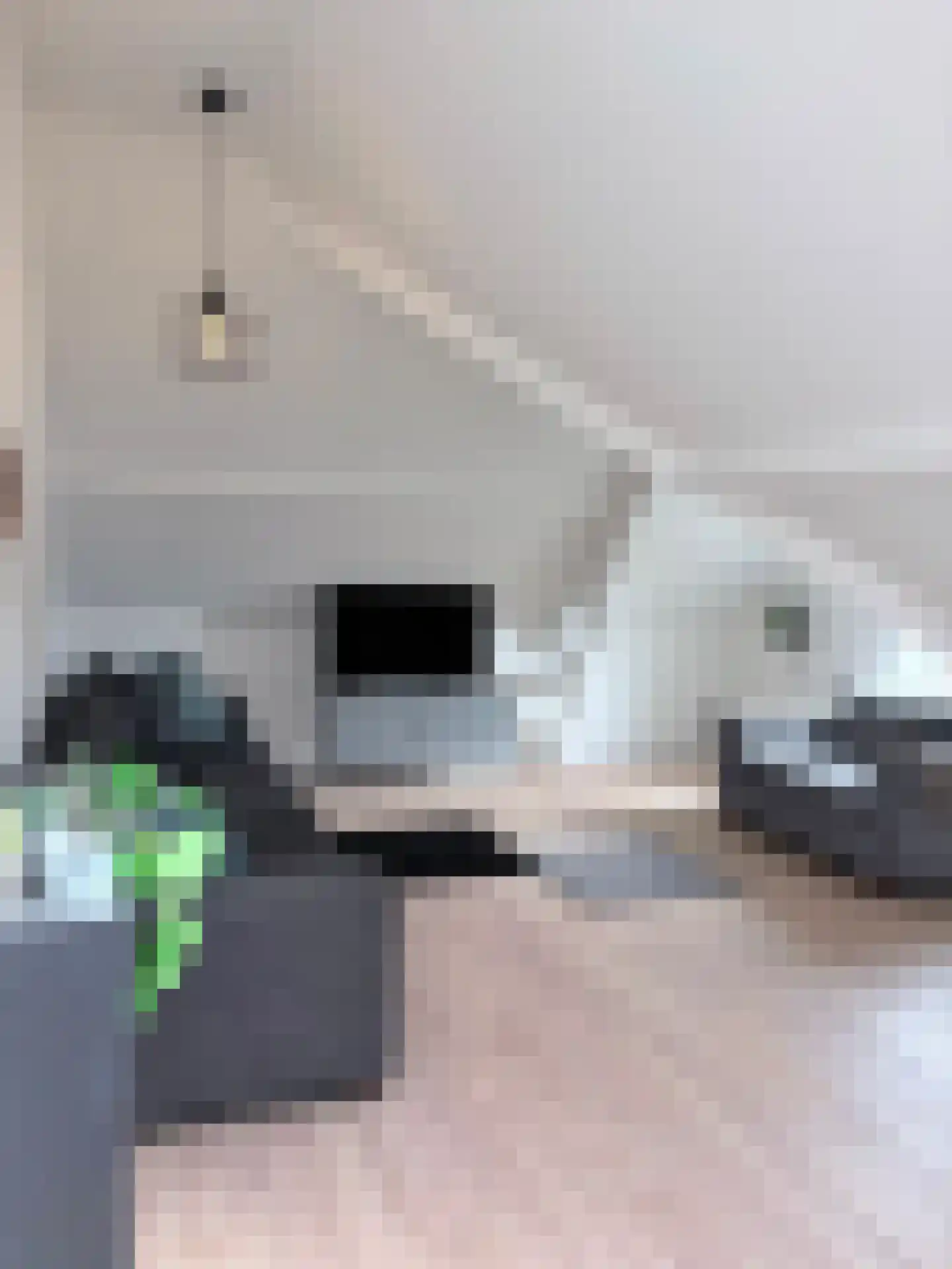 de Ruijterlaan 18 Velp thumbnail 56