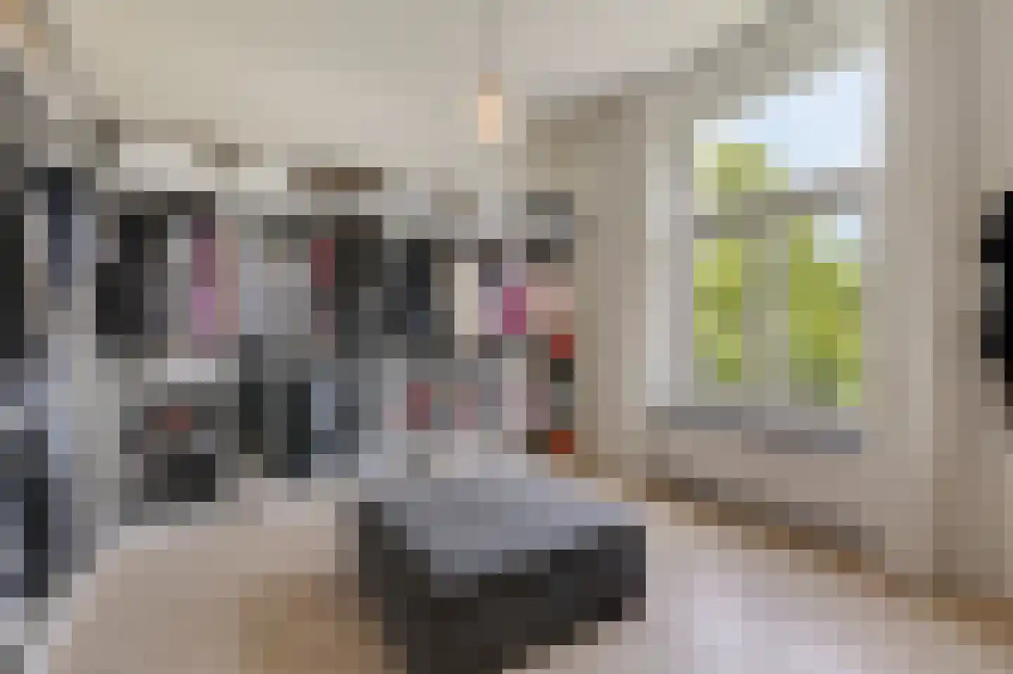 de Ruijterlaan 18 Velp thumbnail 56