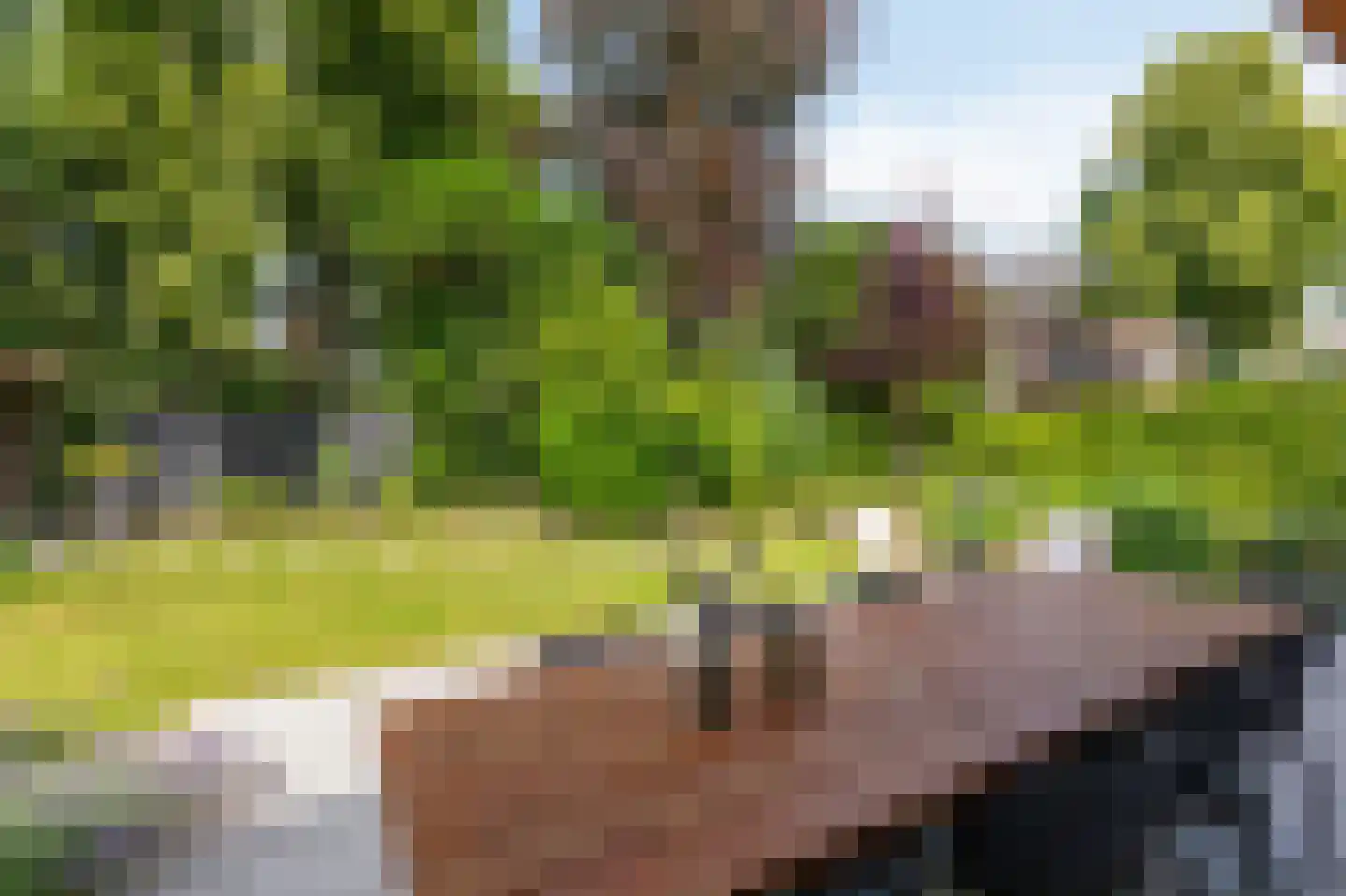 de Ruijterlaan 18 Velp thumbnail 62