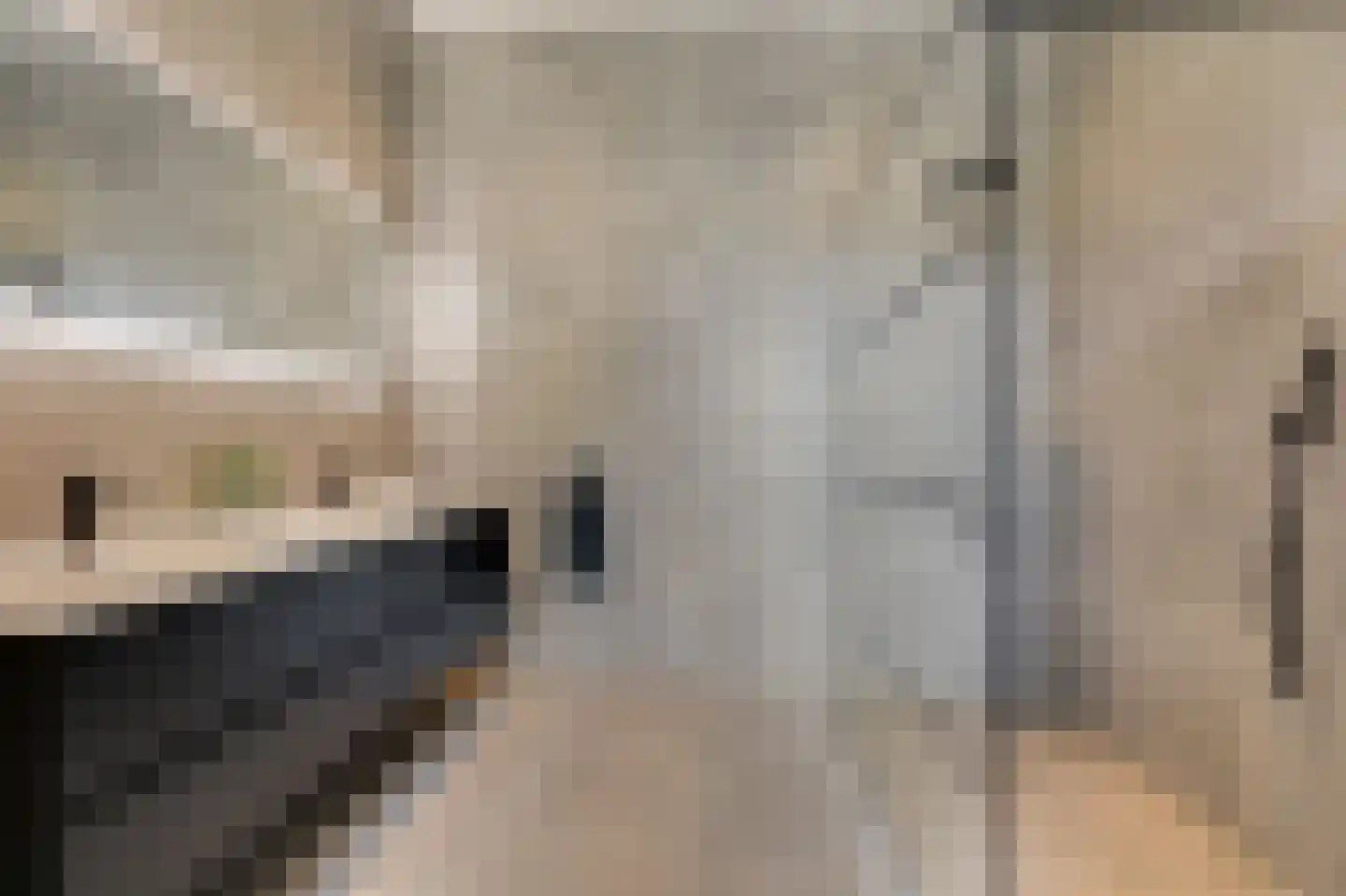 de Ruijterlaan 18 Velp thumbnail 65