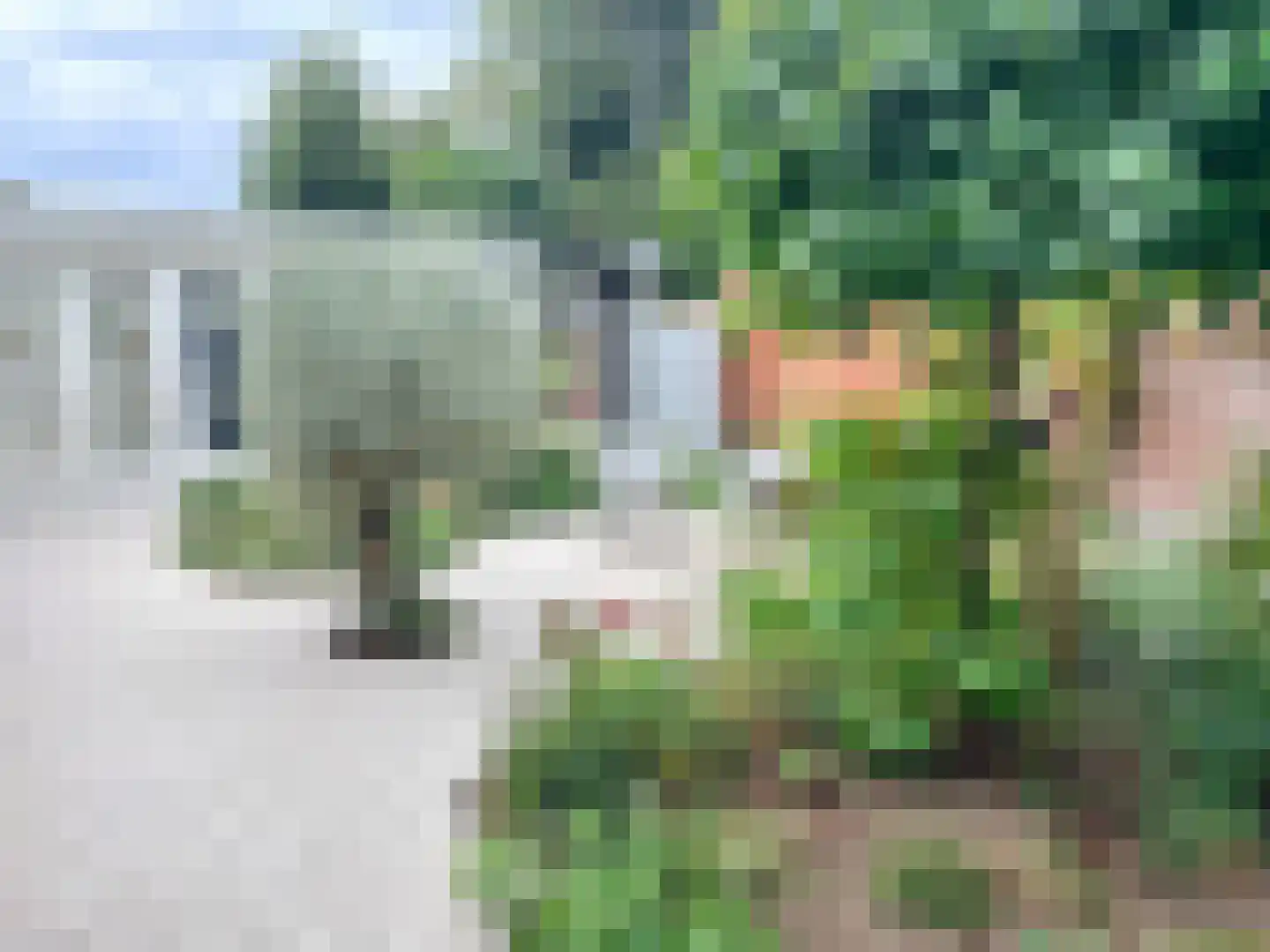 de Ruijterlaan 18 Velp thumbnail 71