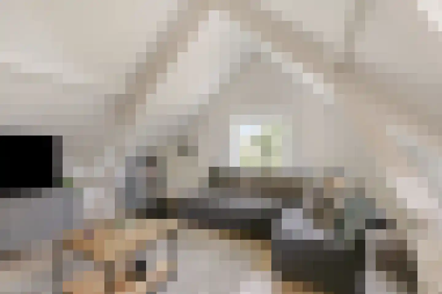 de Ruijterlaan 18 Velp thumbnail 72