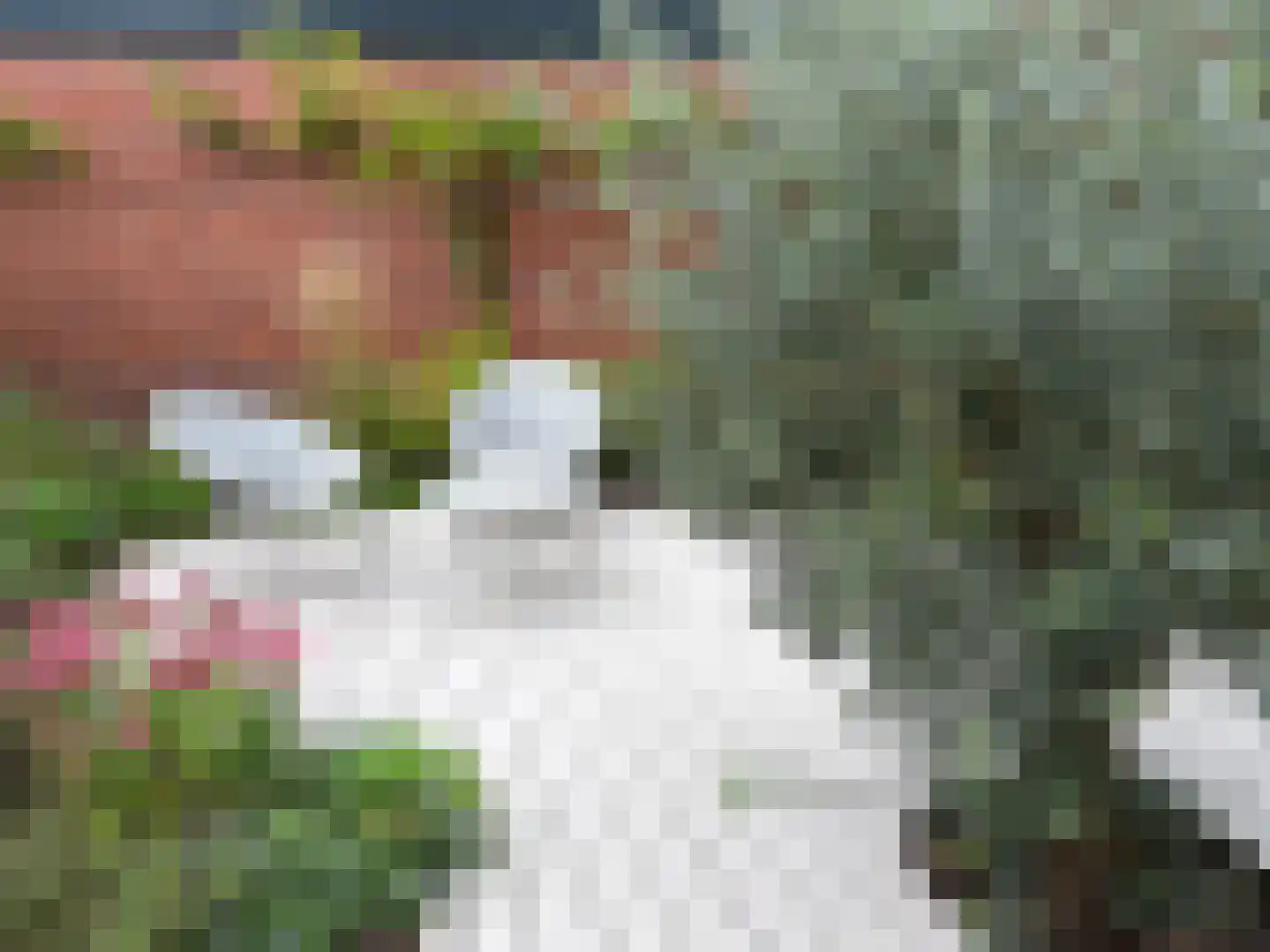 de Ruijterlaan 18 Velp thumbnail 72
