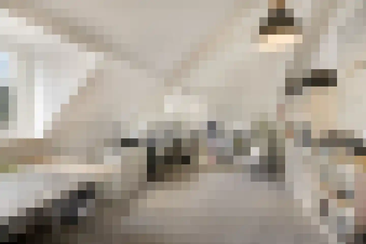 de Ruijterlaan 18 Velp thumbnail 74