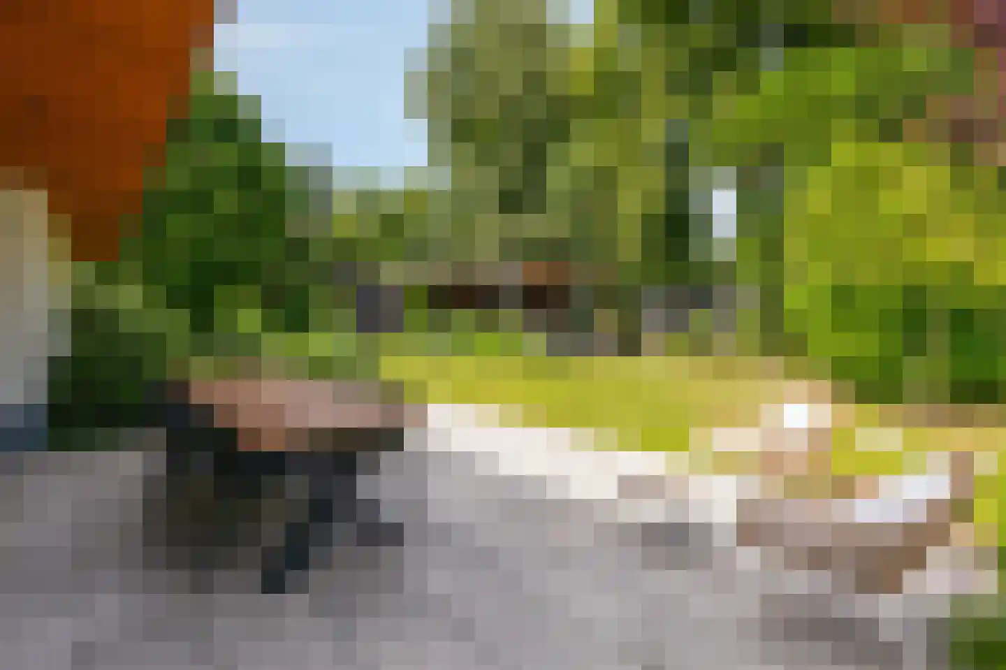 de Ruijterlaan 18 Velp thumbnail 81