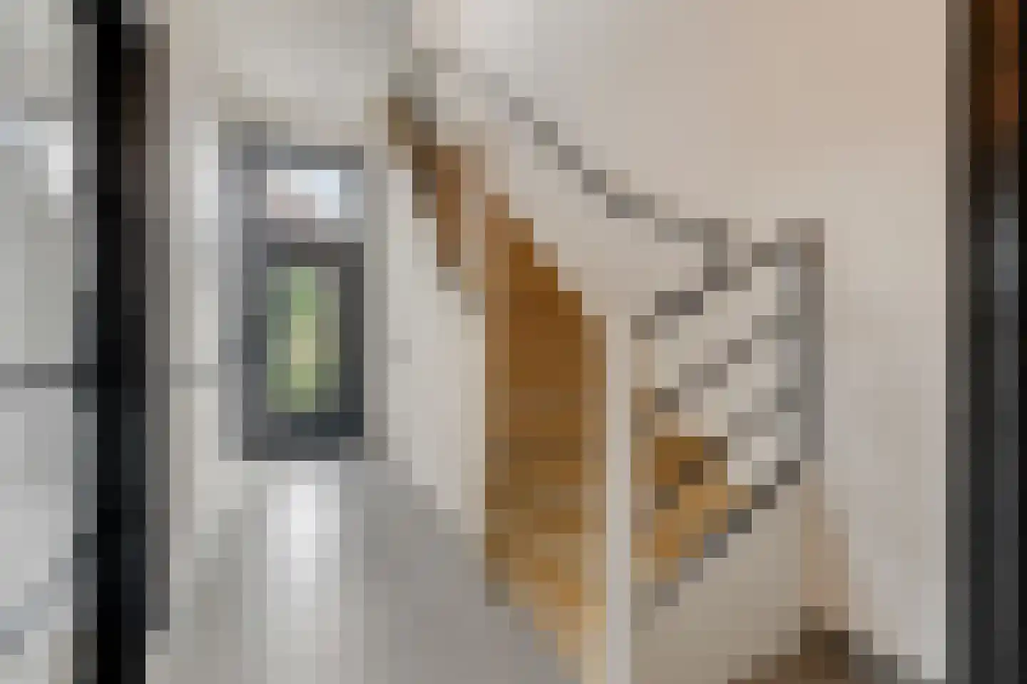 de Ruijterlaan 18 Velp thumbnail 9