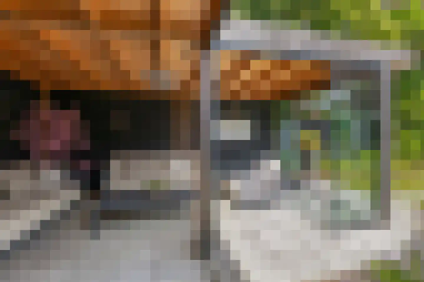 de Ruijterlaan 18 Velp thumbnail 93