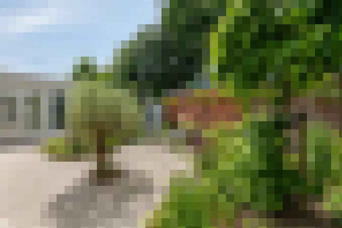 de Ruijterlaan 18 Velp thumbnail 96
