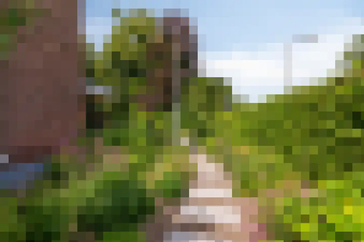 de Ruijterlaan 18 Velp thumbnail 98