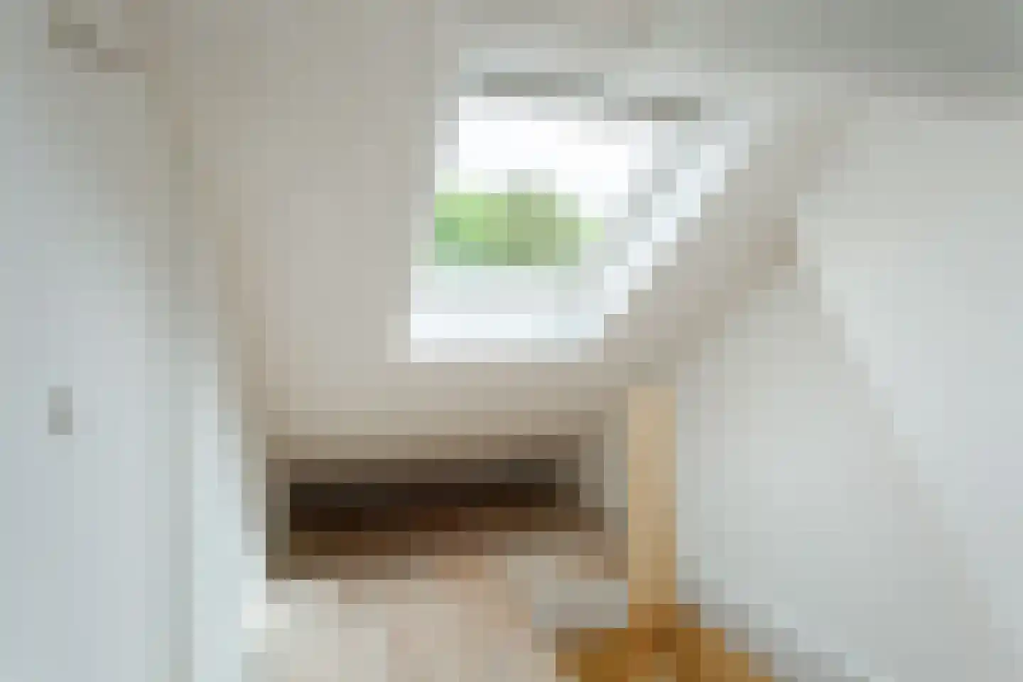 De Ruijterlaan 34 Bussum thumbnail 22
