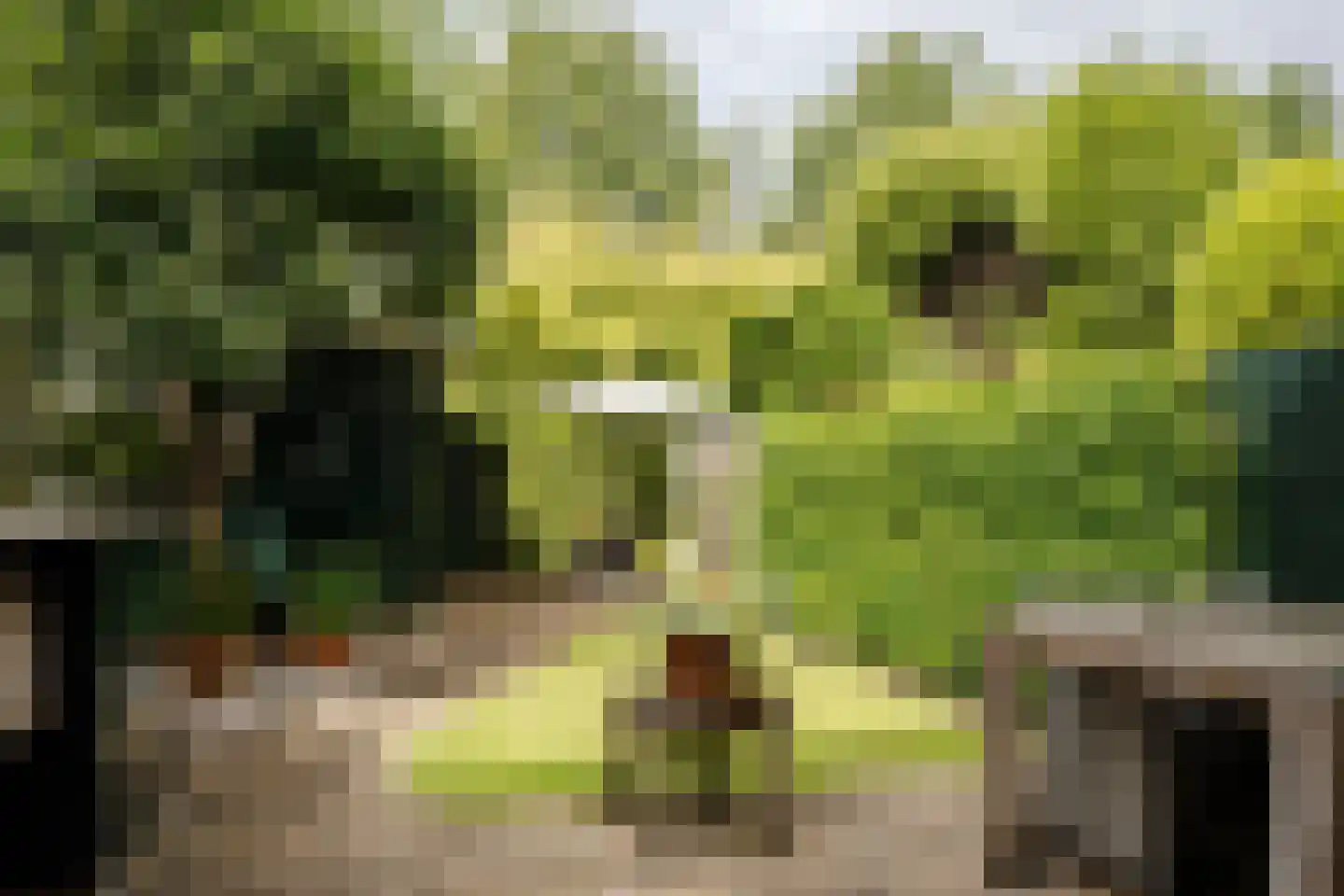 De Ruijterplein 11 Haarlem thumbnail 23