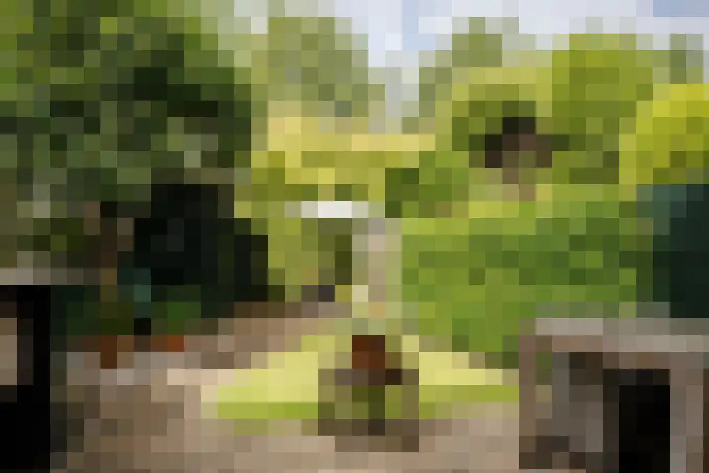 De Ruijterplein 11 Haarlem thumbnail 4
