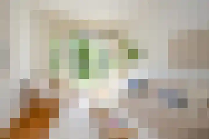De Ruijterplein 7 Haarlem thumbnail 11