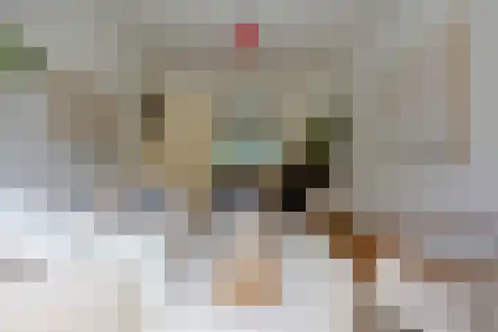 De Ruijterplein 7 Haarlem thumbnail 12