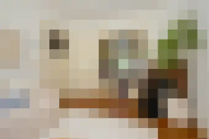 De Ruijterplein 7 Haarlem thumbnail 13