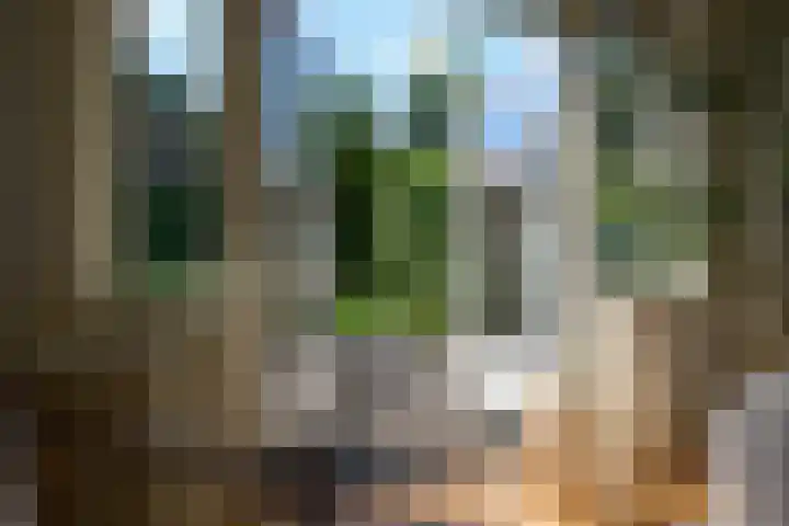 De Ruijterplein 7 Haarlem thumbnail 14