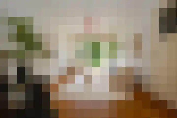 De Ruijterplein 7 Haarlem thumbnail 15