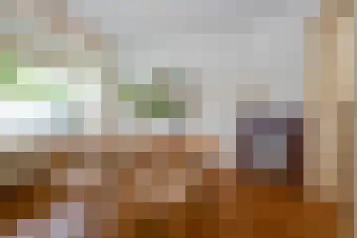 De Ruijterplein 7 Haarlem thumbnail 18