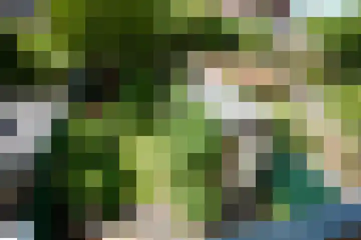 De Ruijterplein 7 Haarlem thumbnail 27