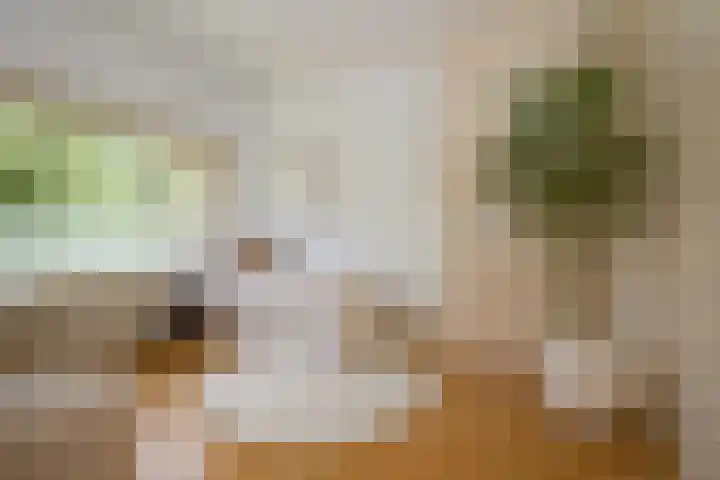 De Ruijterplein 7 Haarlem thumbnail 35