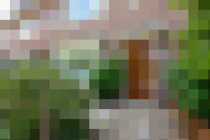 De Ruijterplein 7 Haarlem thumbnail 5
