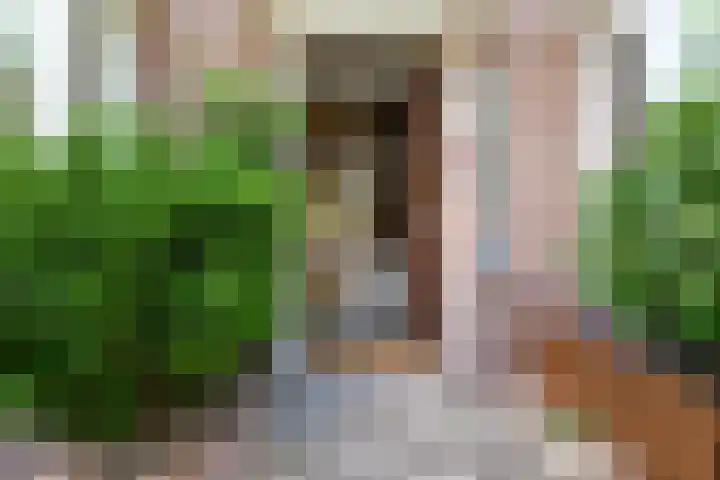 De Ruijterplein 7 Haarlem thumbnail 6