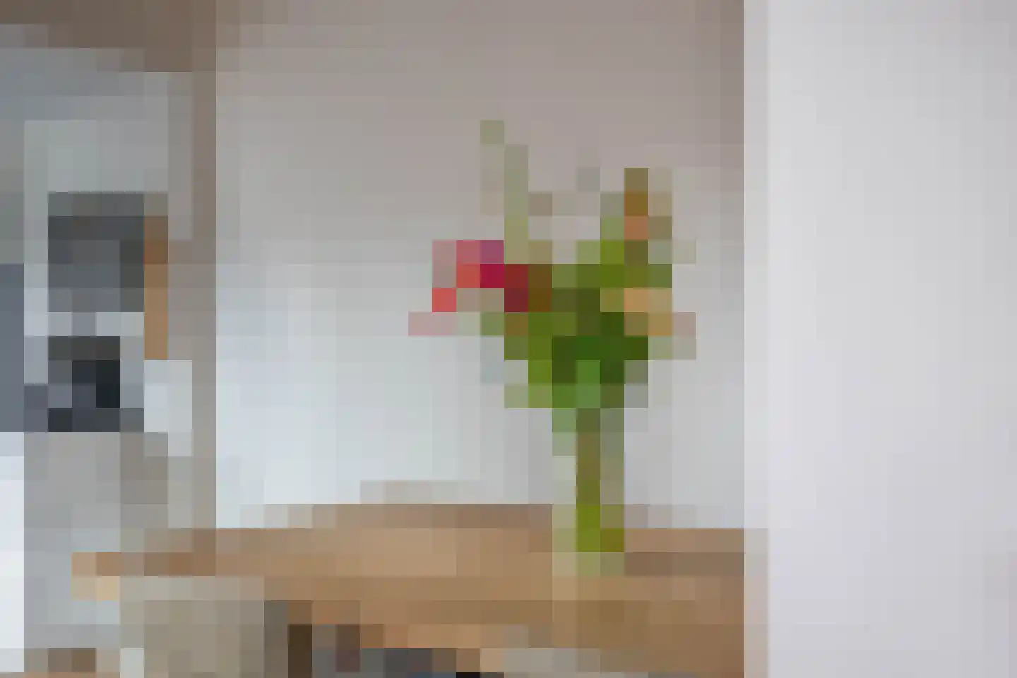 de Ruijterstraat 1 Lisse thumbnail 16
