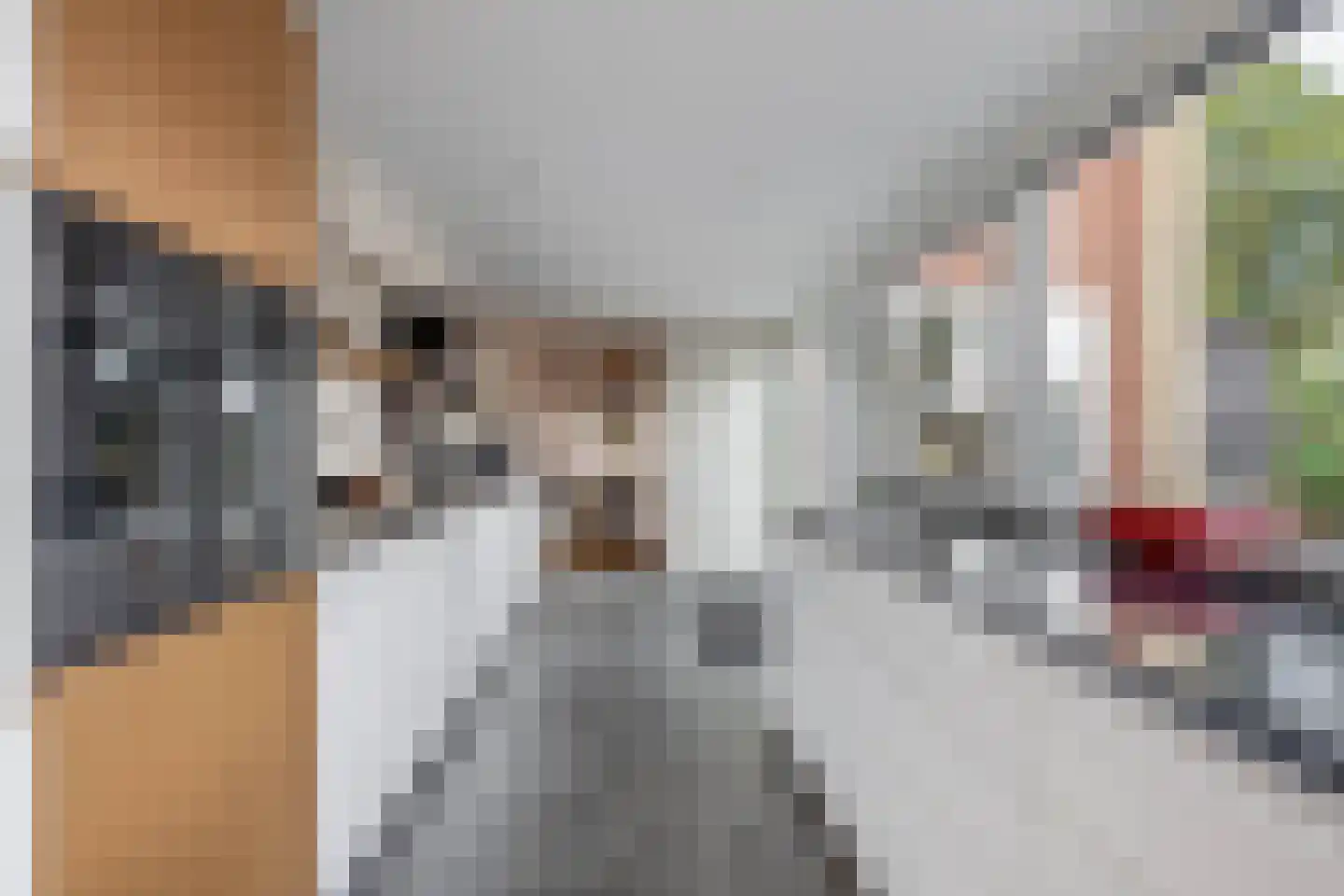 de Ruijterstraat 1 Lisse thumbnail 18