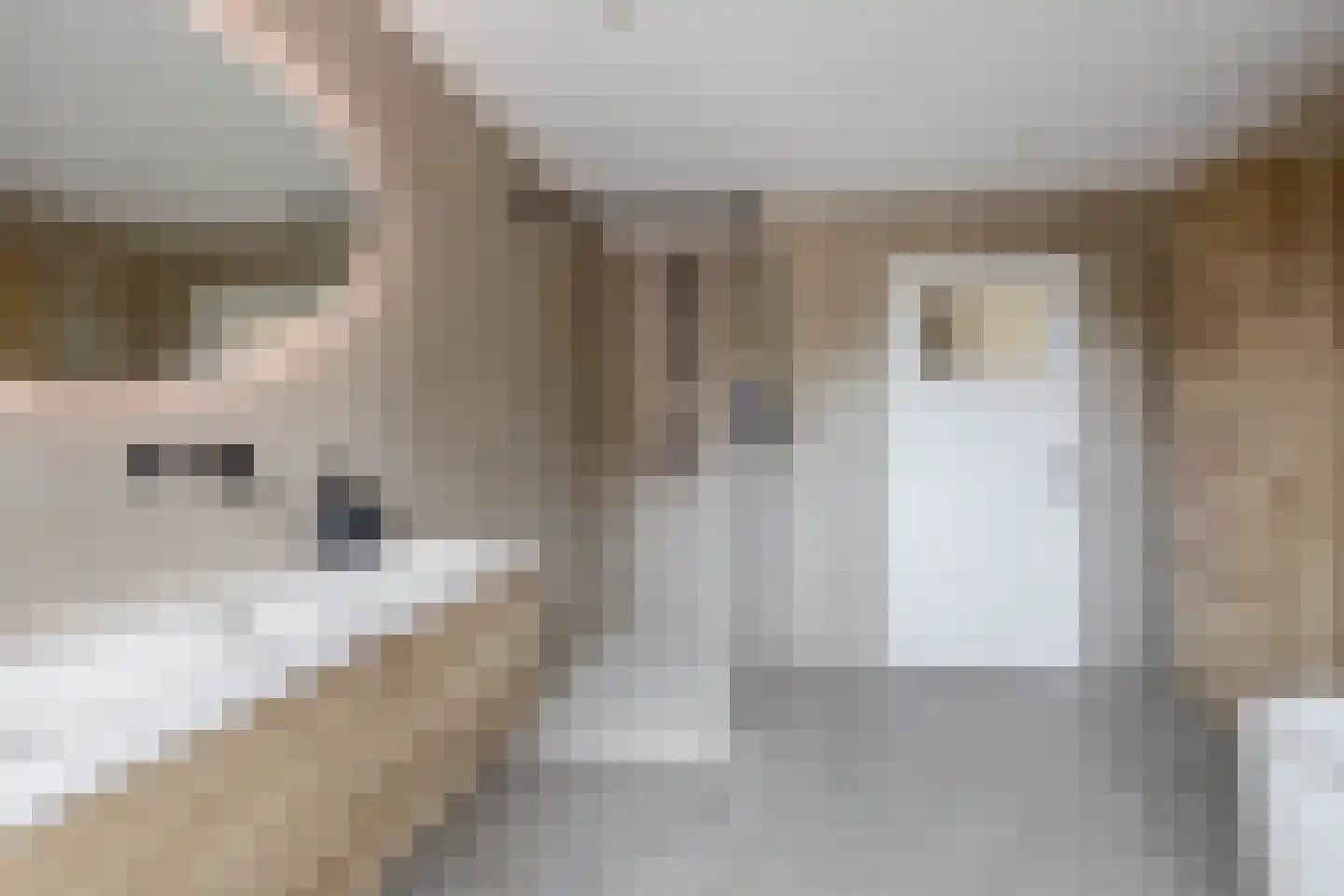 de Ruijterstraat 1 Lisse thumbnail 28
