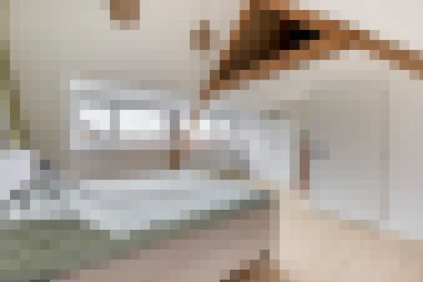 de Ruijterstraat 1 Lisse thumbnail 36