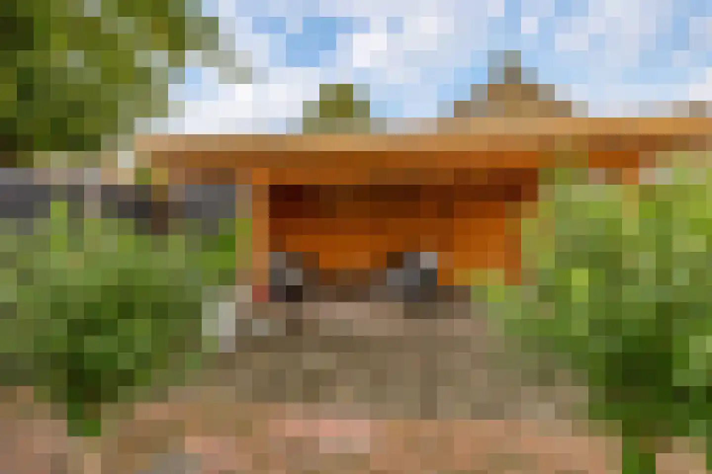 de Ruijterstraat 1 Lisse thumbnail 39