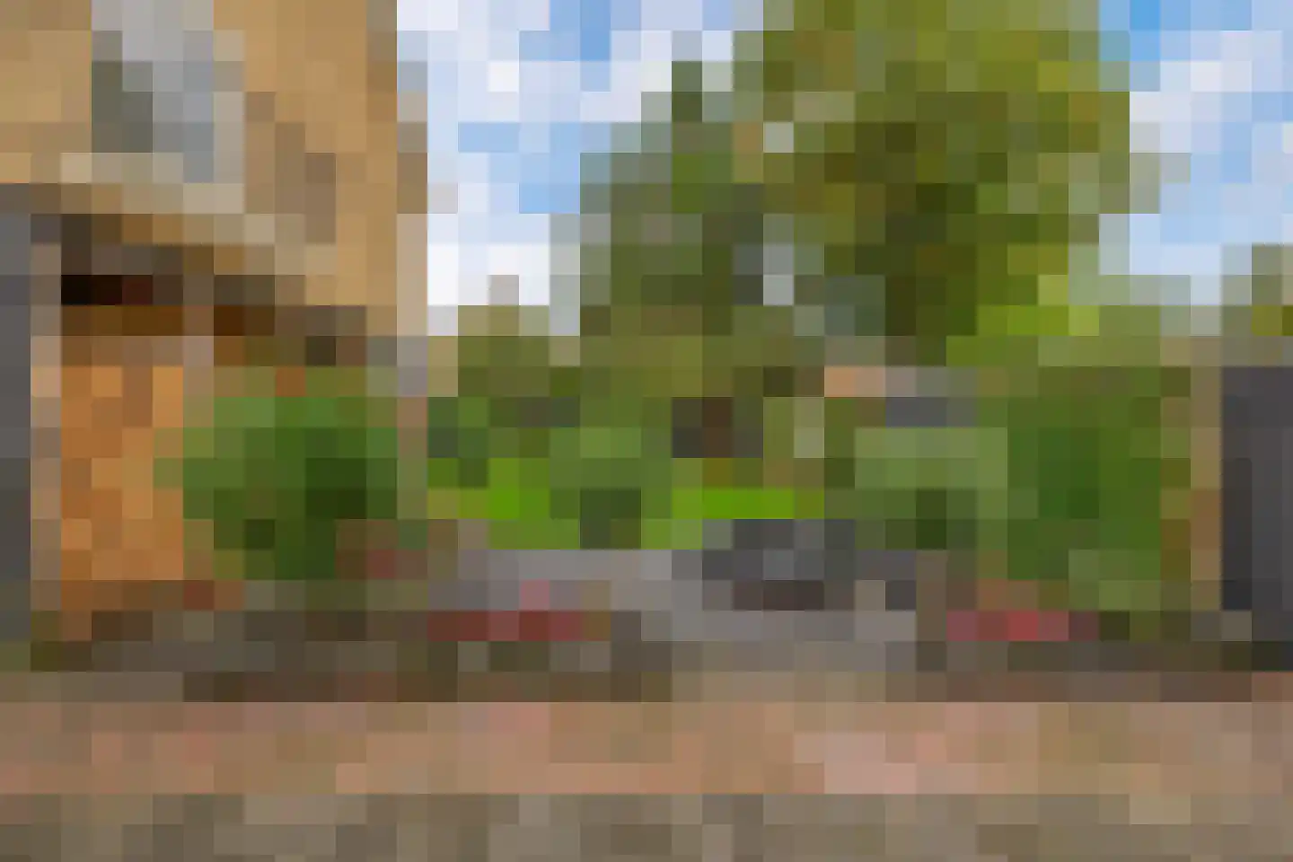 de Ruijterstraat 1 Lisse thumbnail 40