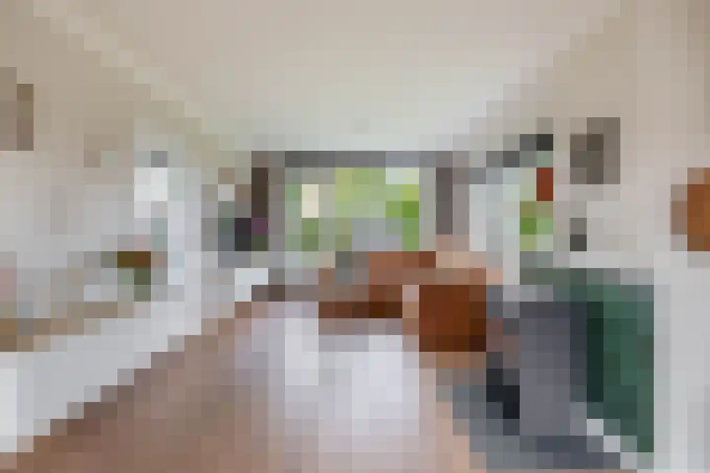 de Ruijterstraat 1 Lisse thumbnail 7