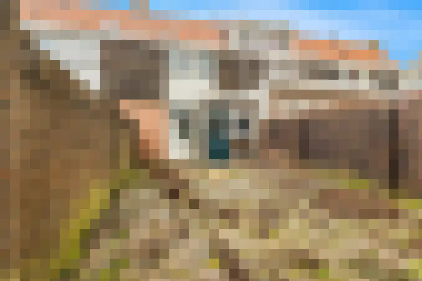 De Ruijterstraat 11 Alkmaar thumbnail 4