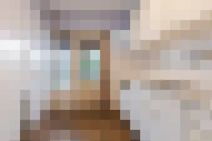 De Ruijterstraat 11 Veghel thumbnail 13