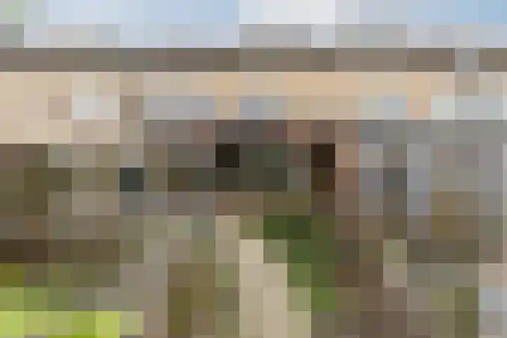 De Ruijterstraat 11 Veghel thumbnail 43