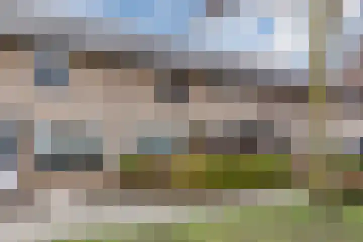 De Ruijterstraat 11 Veghel thumbnail 51
