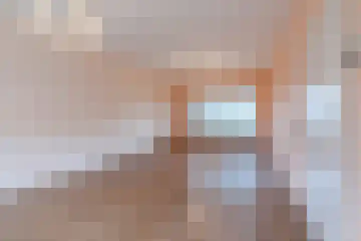 De Ruijterstraat 11 Veghel thumbnail 7