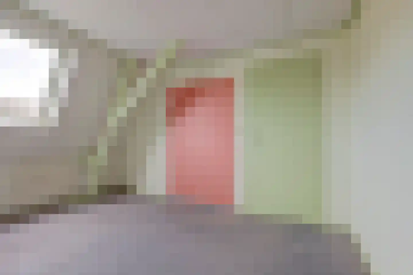 De Ruijterstraat 12 Leerdam thumbnail 23