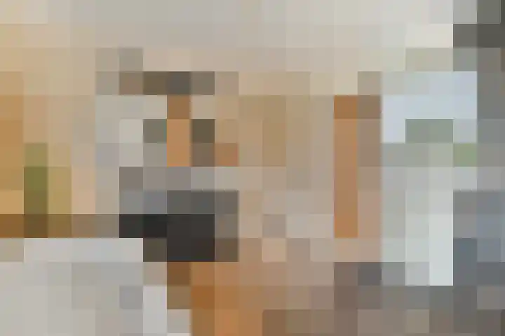 de Ruijterstraat 12 Lisse thumbnail 12